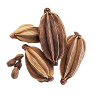 Cocoa_POD-removebg-preview